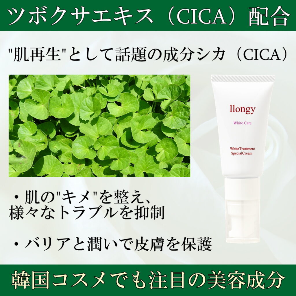ツボクサエキス（CICA）配合。肌再生として注目を集める、韓国コスメでも話題の美容成分。